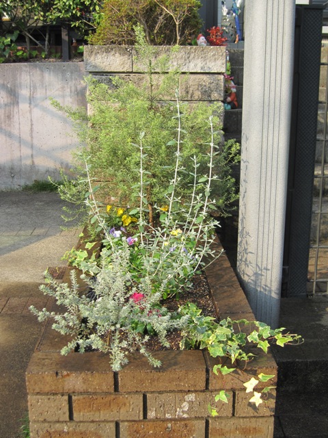 http://www.zvyle.com/blog/IMG_5454-1.jpg