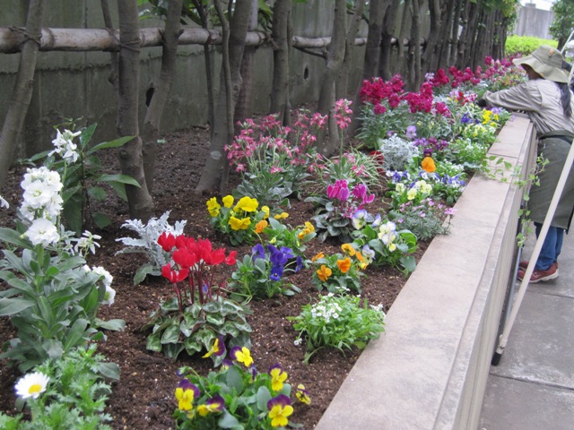 http://www.zvyle.com/blog/IMG_8098-1.jpg