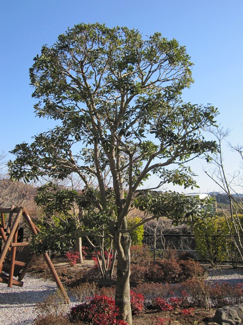 IMG_5895.JPG