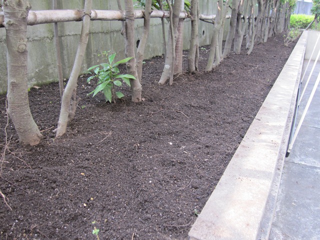 http://www.zvyle.com/work/IMG_8094.JPG