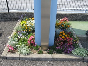 IMG_6605.JPG