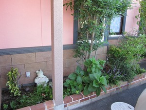 IMG_4661.JPG