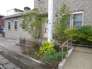 IMG_1160.JPG