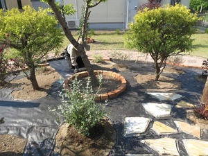 IMG_6863.JPG