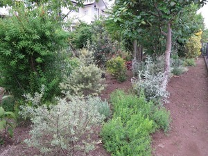 IMG_7090.JPG