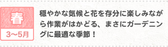 春3~5月 穏やかな気候と花を存分に楽しみながら作業がはかどる、まさにガーデニングに最適な季節!