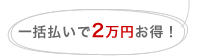 一括払いで2万円お得!
