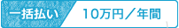 一括払い 10万円/年間