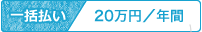 一括払い 20万円/年間