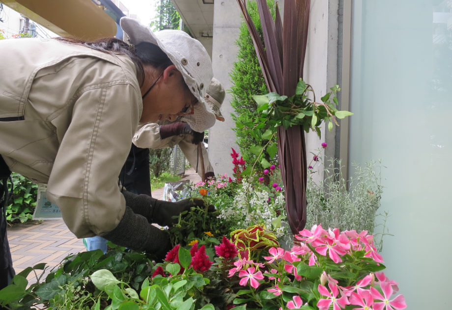 草花・観葉植物の手入れのイメージ