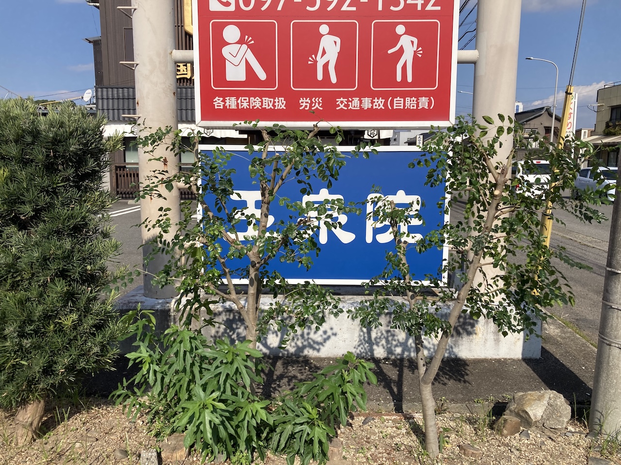 迷惑なこの木？
